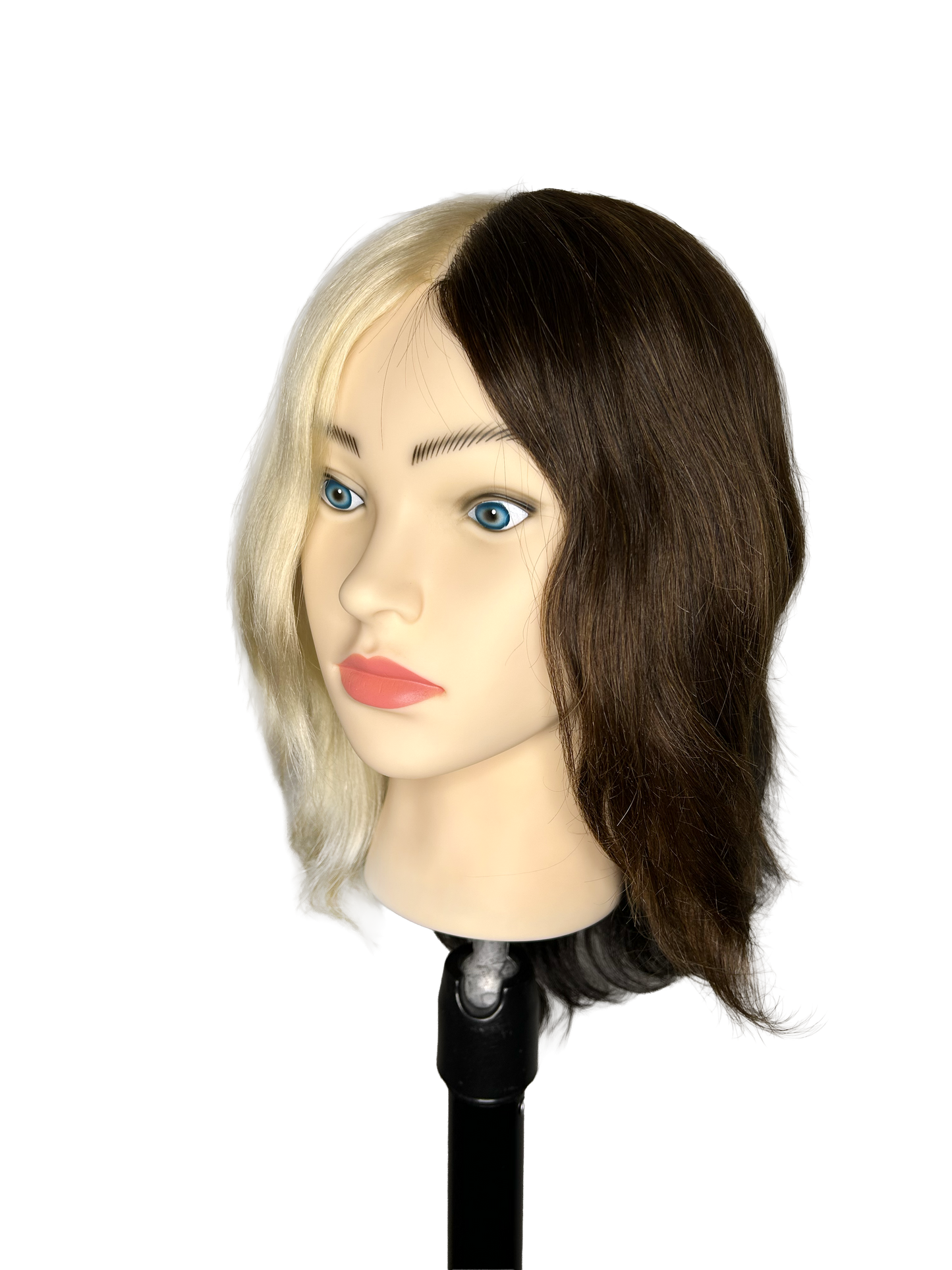 InFashion PRO Ms Evelyn Professional Training Mannequin Head 12'' 4 COLORS 100% Human Hair 135g