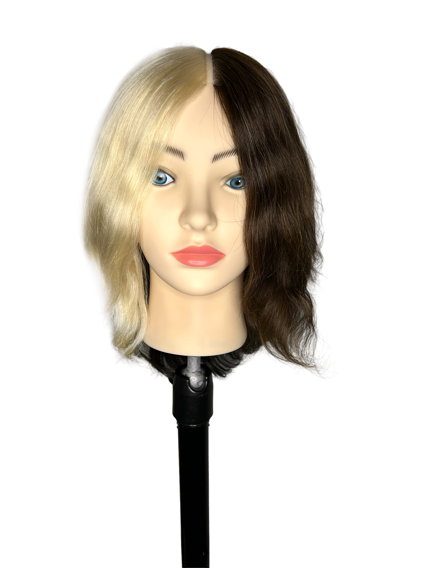 InFashion PRO Ms Evelyn Professional Training Mannequin Head 12'' 4 COLORS 100% Human Hair 135g