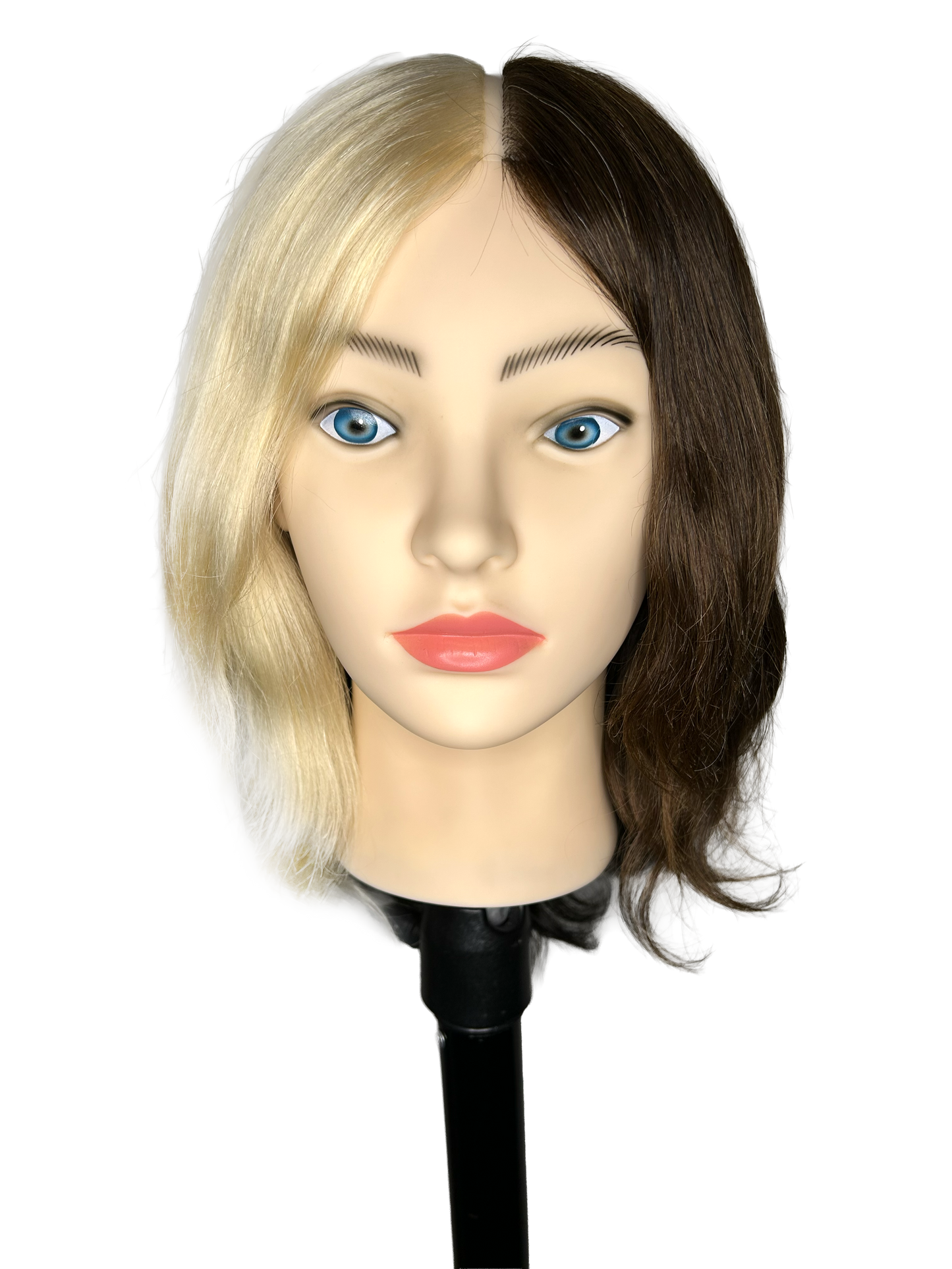 InFashion PRO Ms Evelyn Professional Training Mannequin Head 12'' 4 COLORS 100% Human Hair 135g